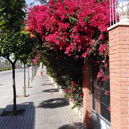 Estudio Comodo En