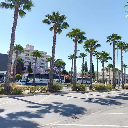 Estudio Comodo En * Torrevieja